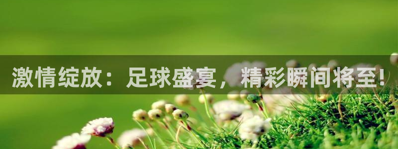 激情绽放：足球盛宴，精彩瞬间将至!