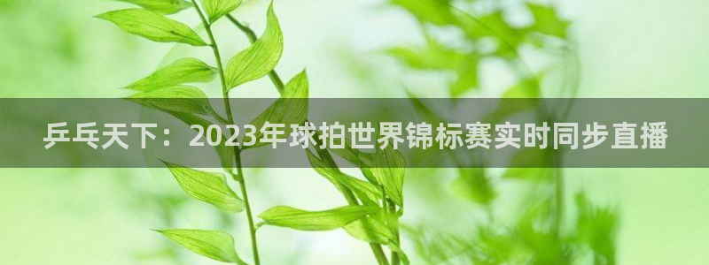 有皇冠的游戏：乒乓天下：2023年球拍世界锦标赛实时同步直播
