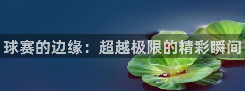 227平台皇冠登录入口：球赛的边缘：超越极限的精彩瞬间